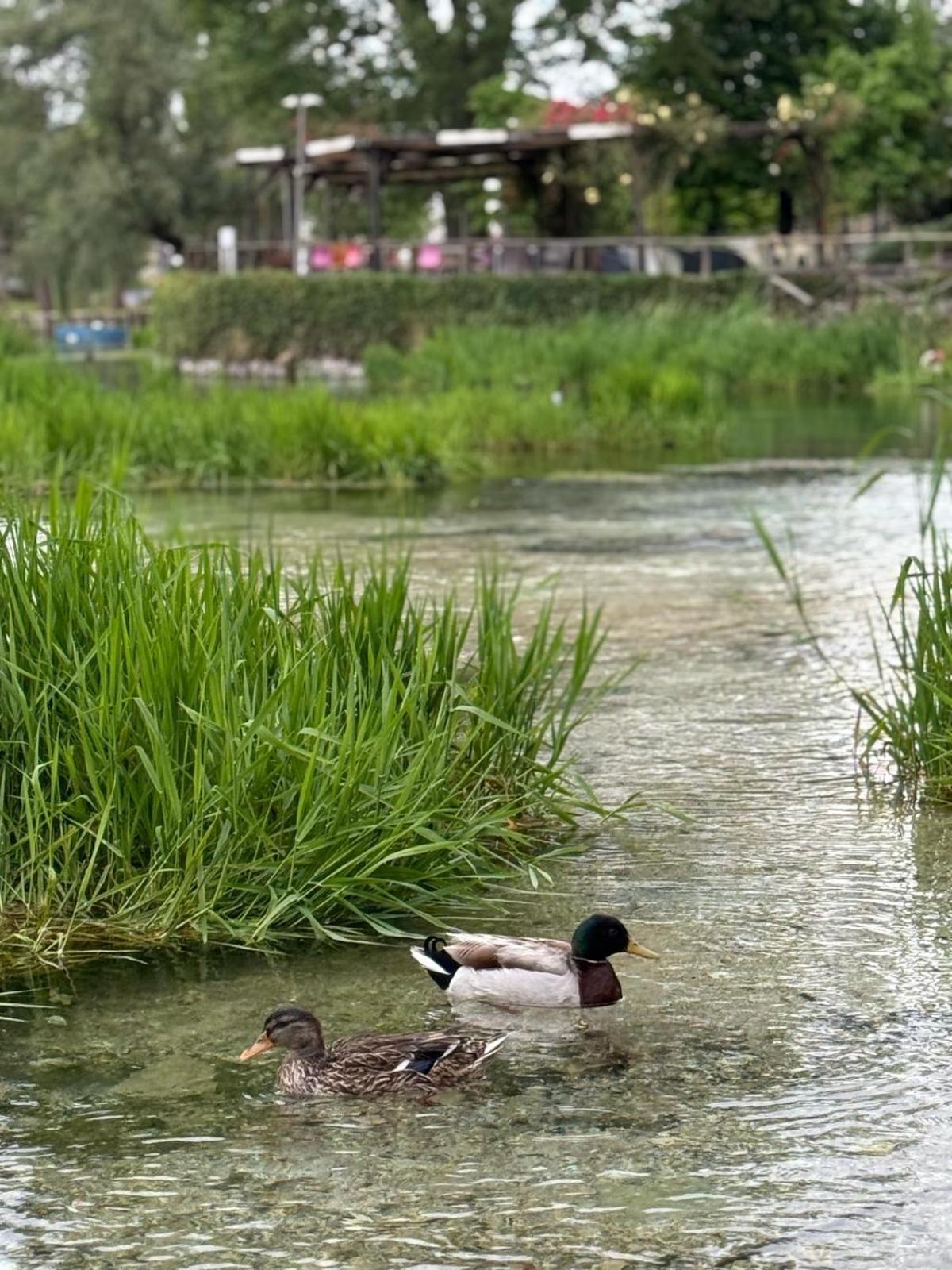 Alla Posta Matrimoniale Relax Posta Fibreno Exteriér fotografie